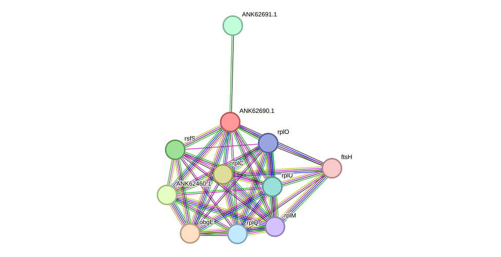STRING protein interaction network