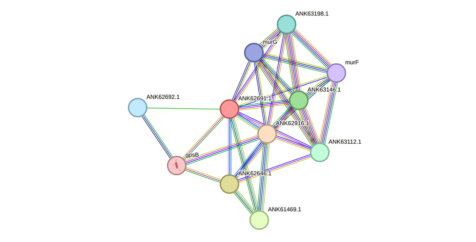 STRING protein interaction network
