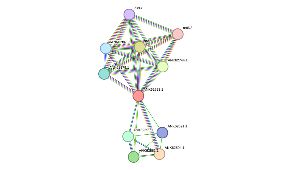 STRING protein interaction network