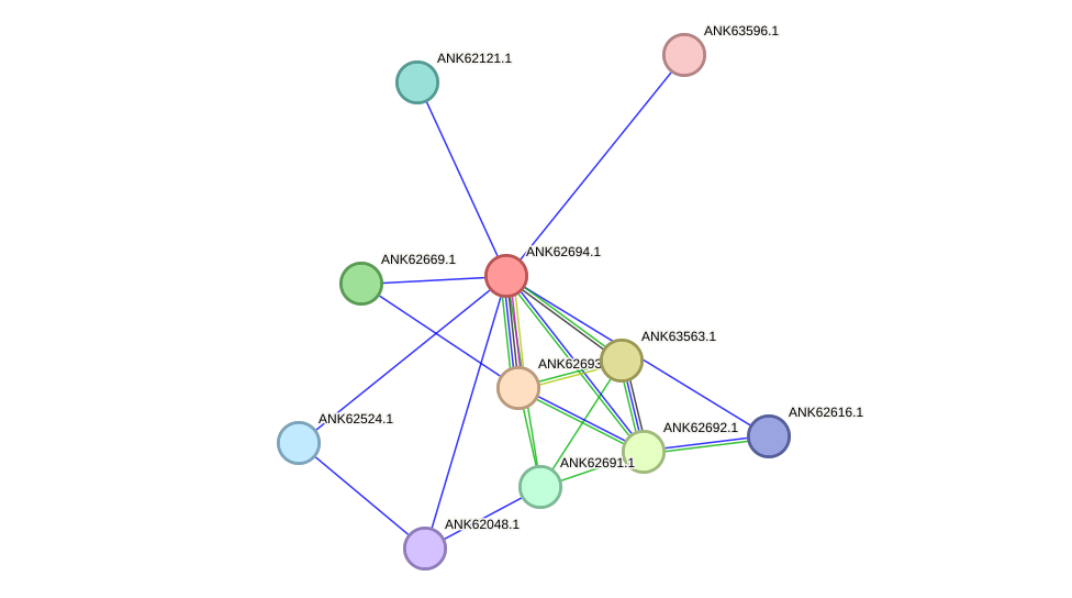 STRING protein interaction network