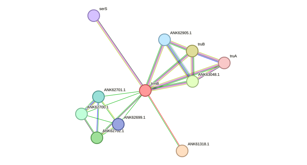 STRING protein interaction network