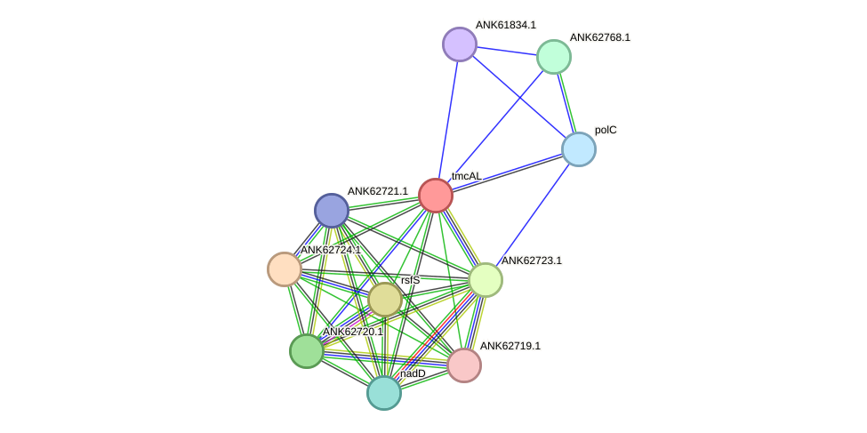STRING protein interaction network