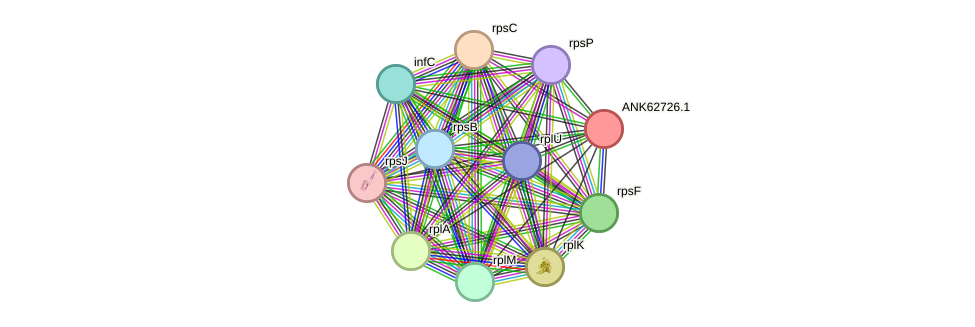 STRING protein interaction network