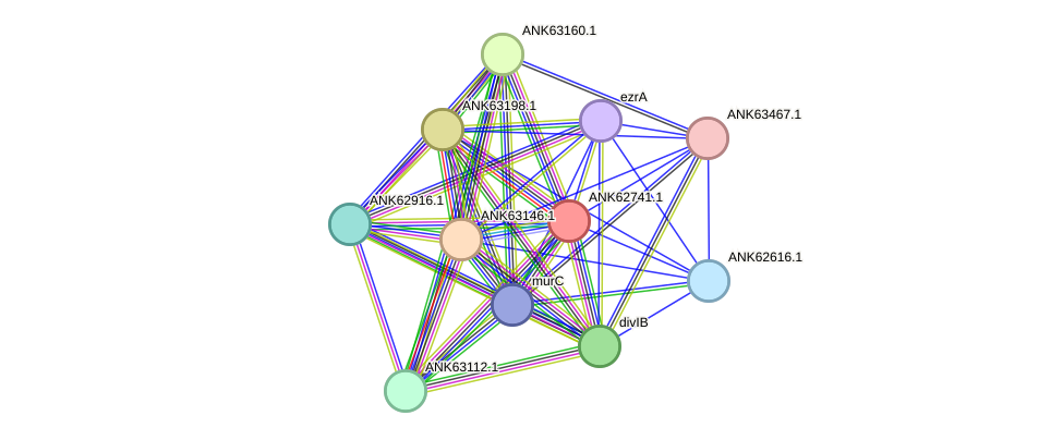 STRING protein interaction network