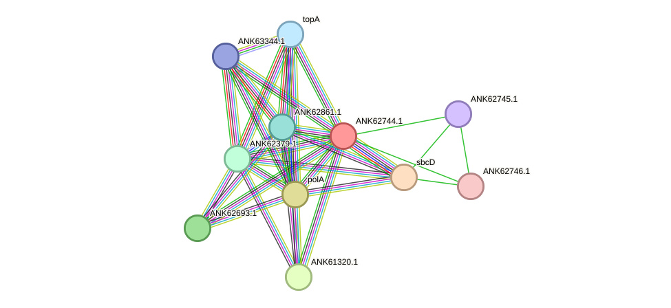 STRING protein interaction network