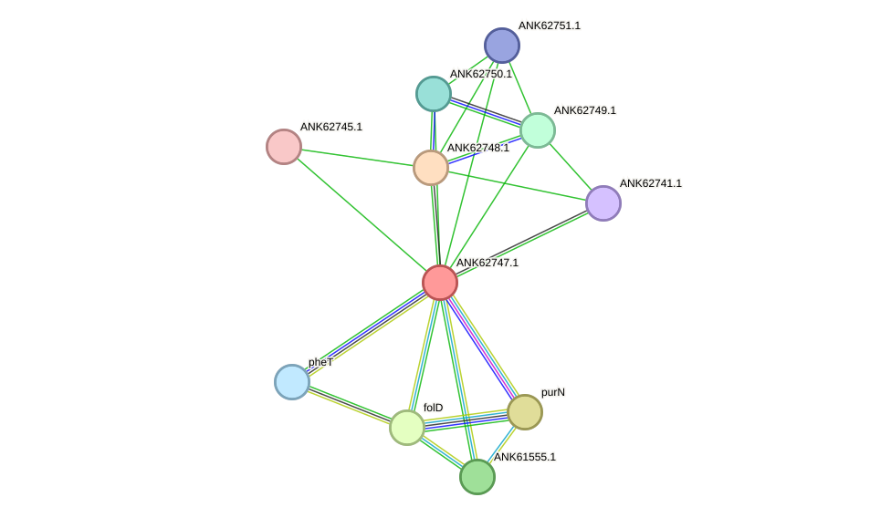 STRING protein interaction network