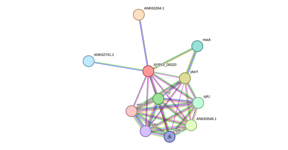 STRING protein interaction network