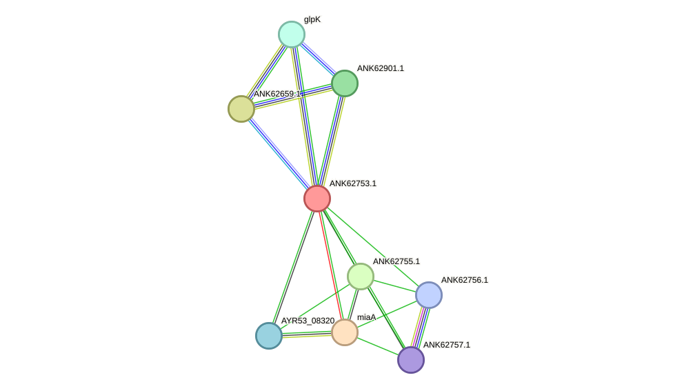 STRING protein interaction network