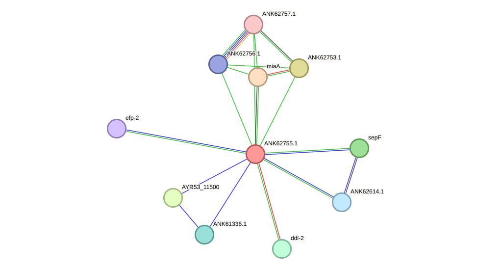 STRING protein interaction network