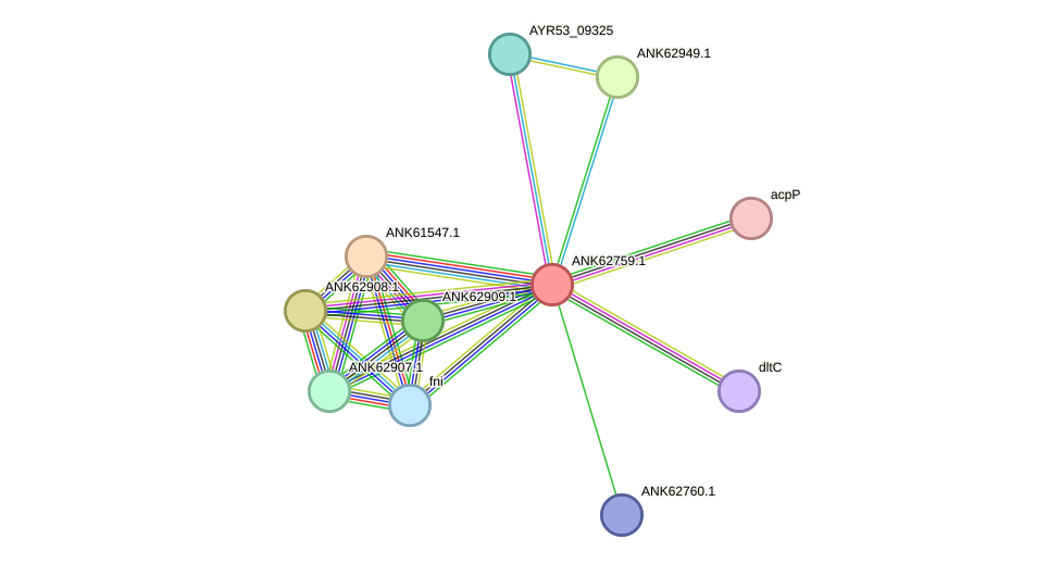 STRING protein interaction network