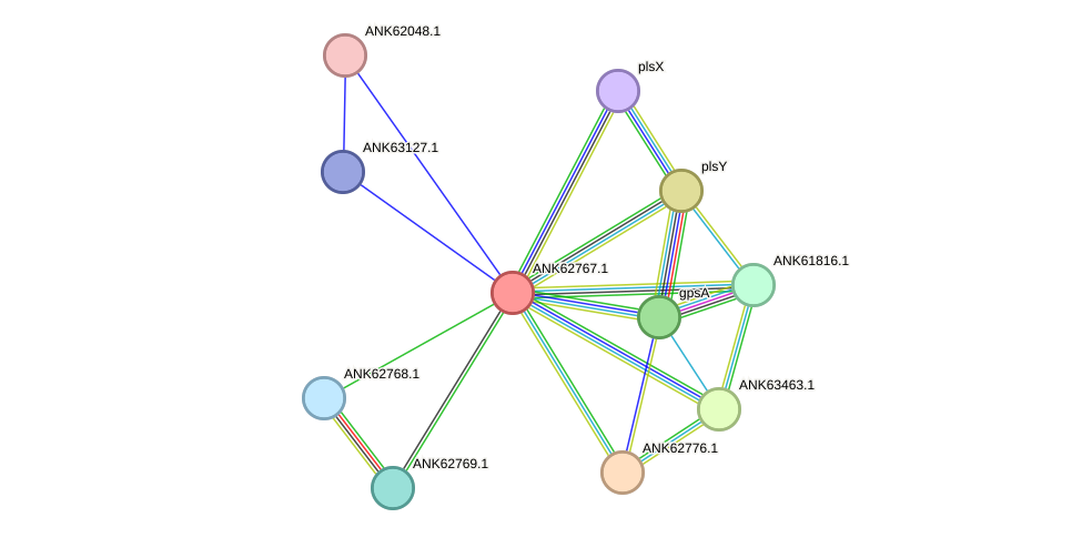 STRING protein interaction network