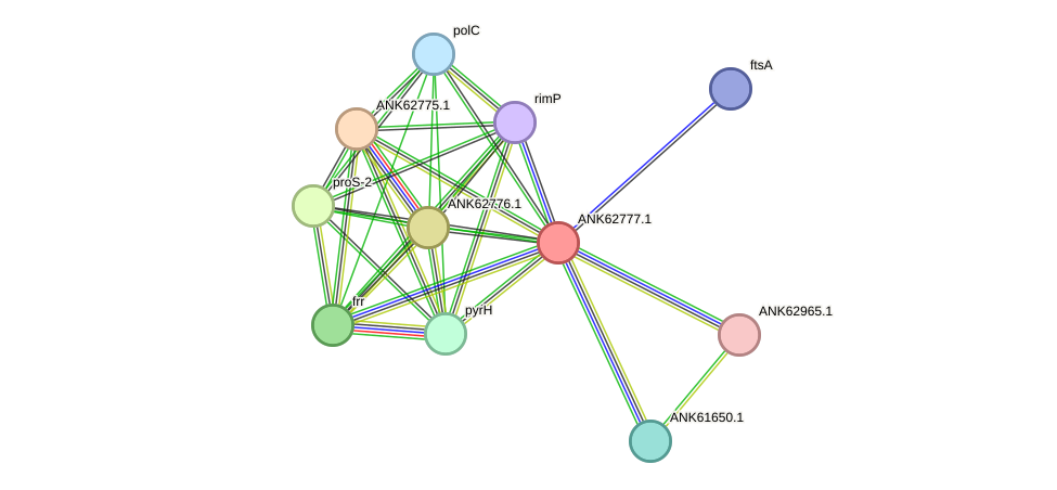 STRING protein interaction network