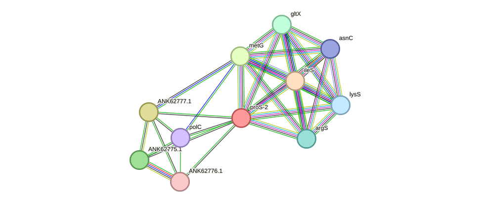 STRING protein interaction network