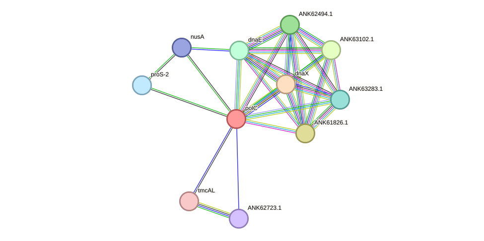 STRING protein interaction network