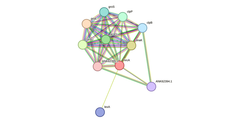 STRING protein interaction network
