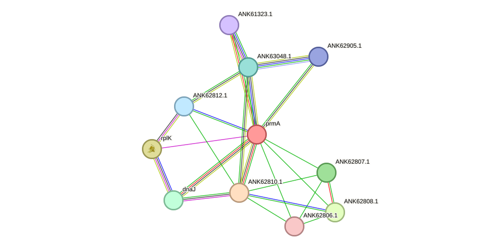 STRING protein interaction network