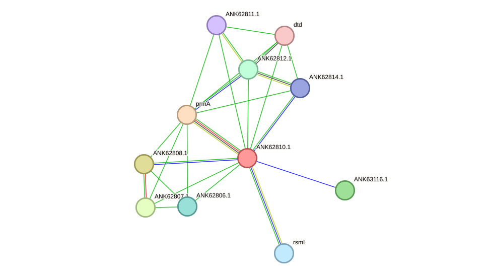 STRING protein interaction network