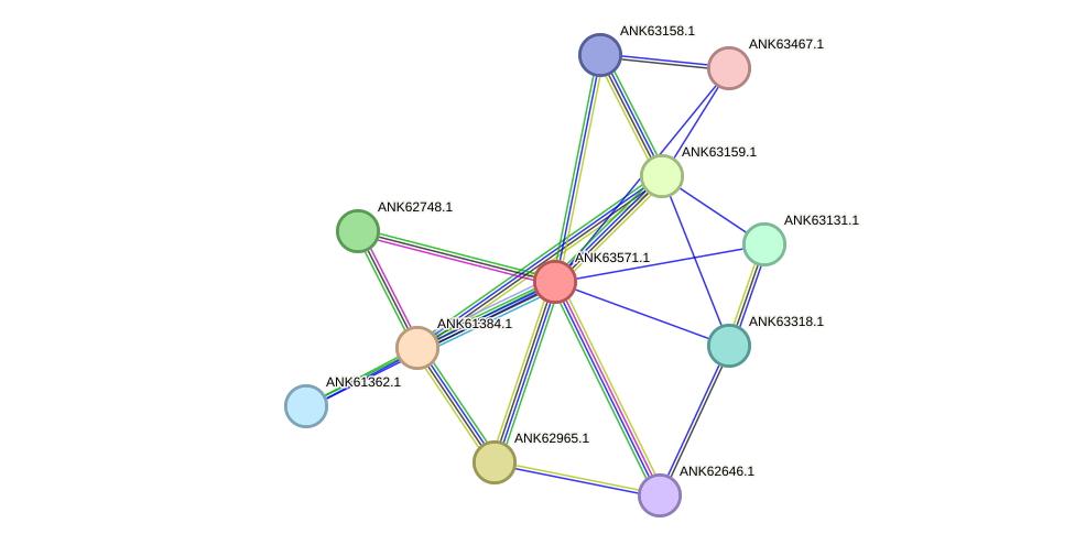 STRING protein interaction network