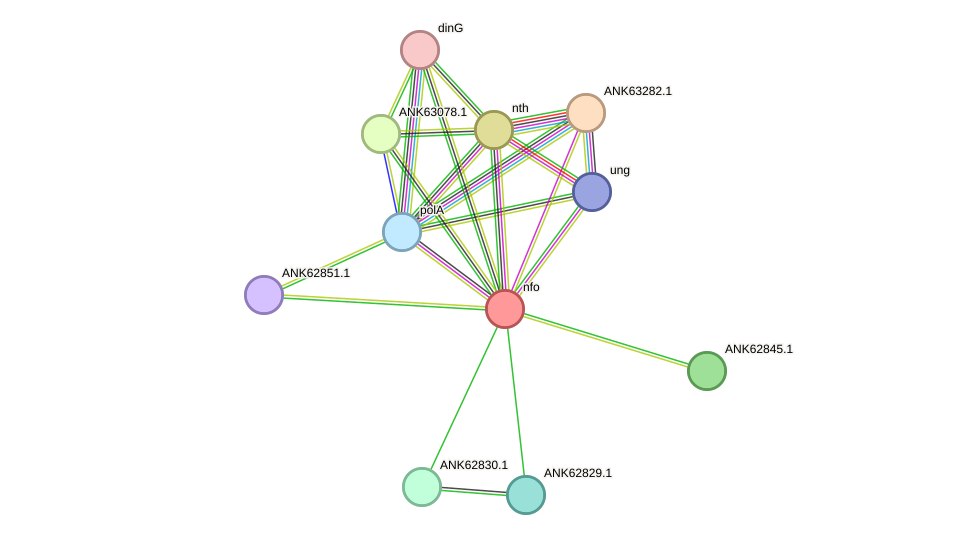 STRING protein interaction network