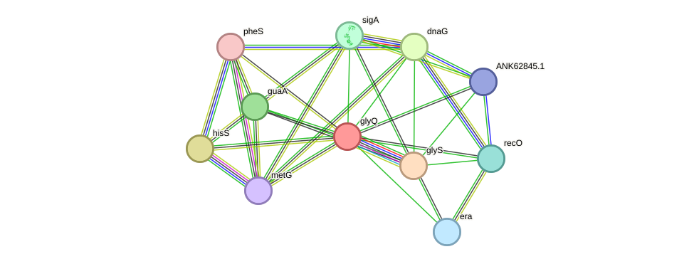 STRING protein interaction network