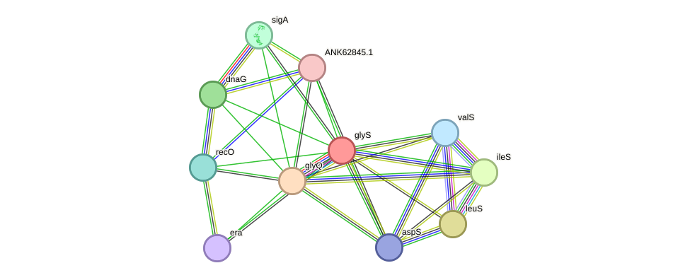 STRING protein interaction network
