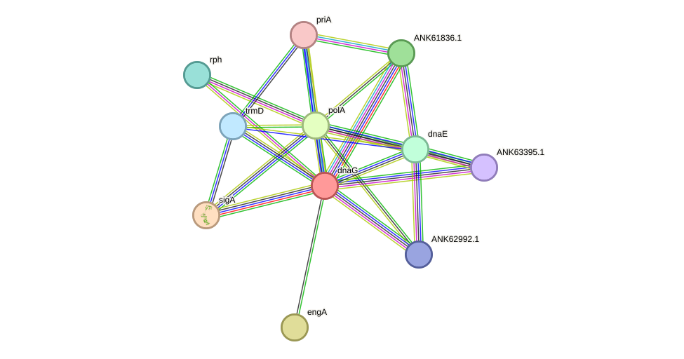 STRING protein interaction network