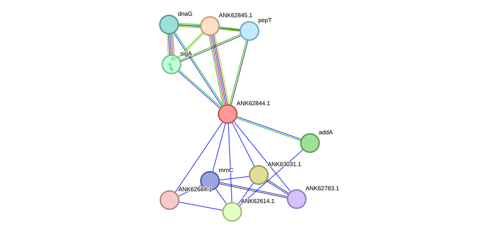 STRING protein interaction network