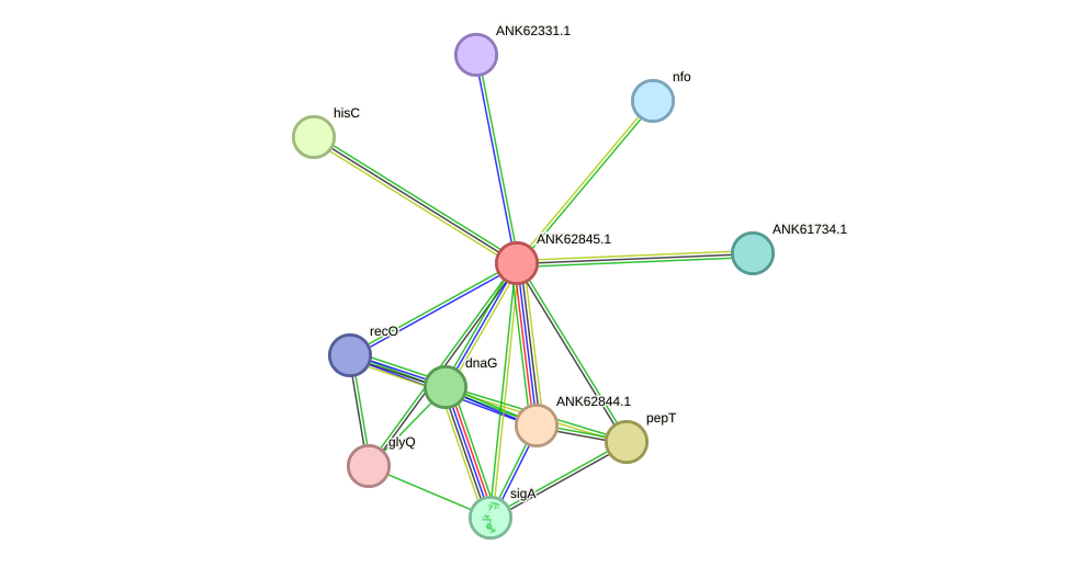 STRING protein interaction network