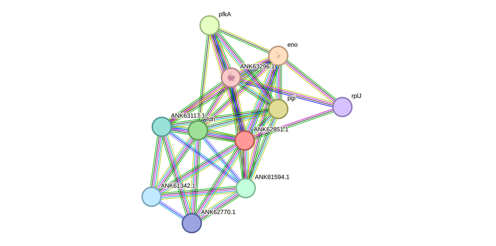 STRING protein interaction network