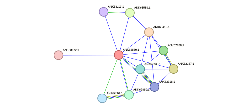 STRING protein interaction network