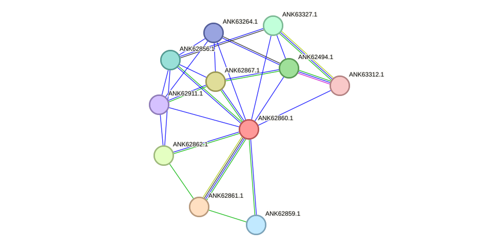 STRING protein interaction network