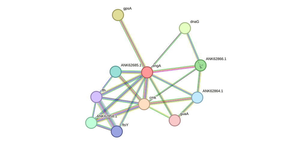 STRING protein interaction network
