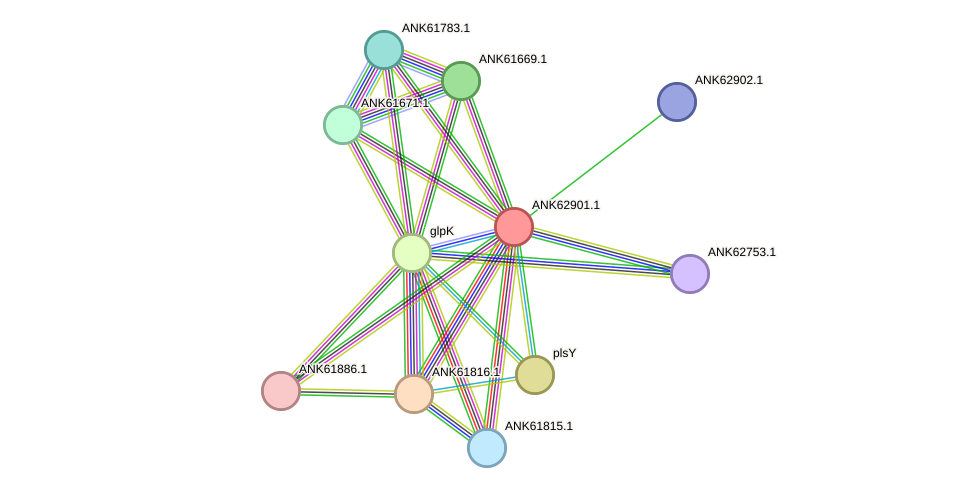 STRING protein interaction network