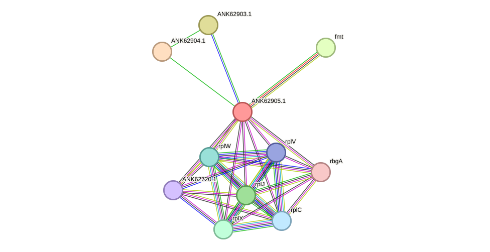 STRING protein interaction network