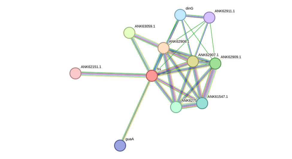 STRING protein interaction network