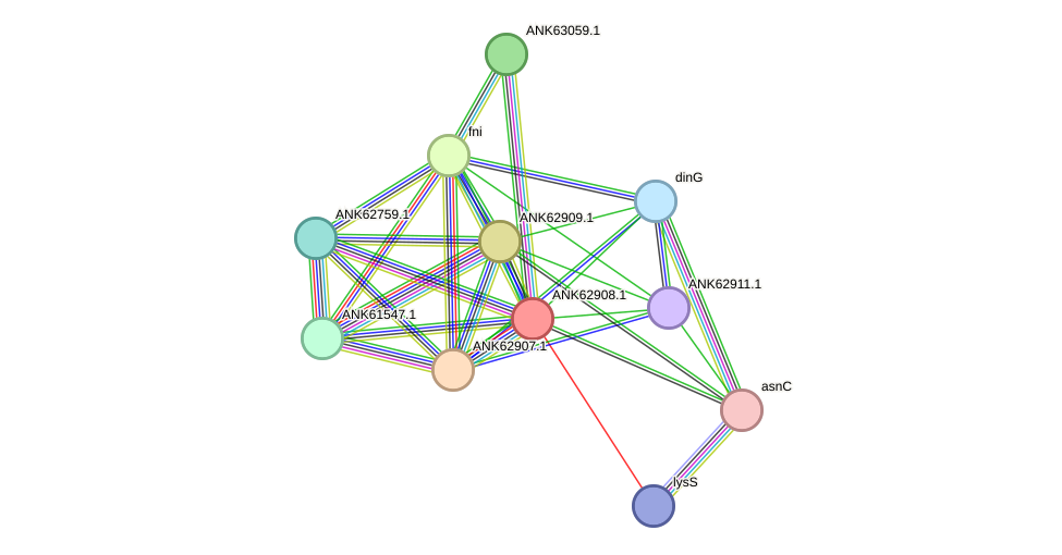 STRING protein interaction network