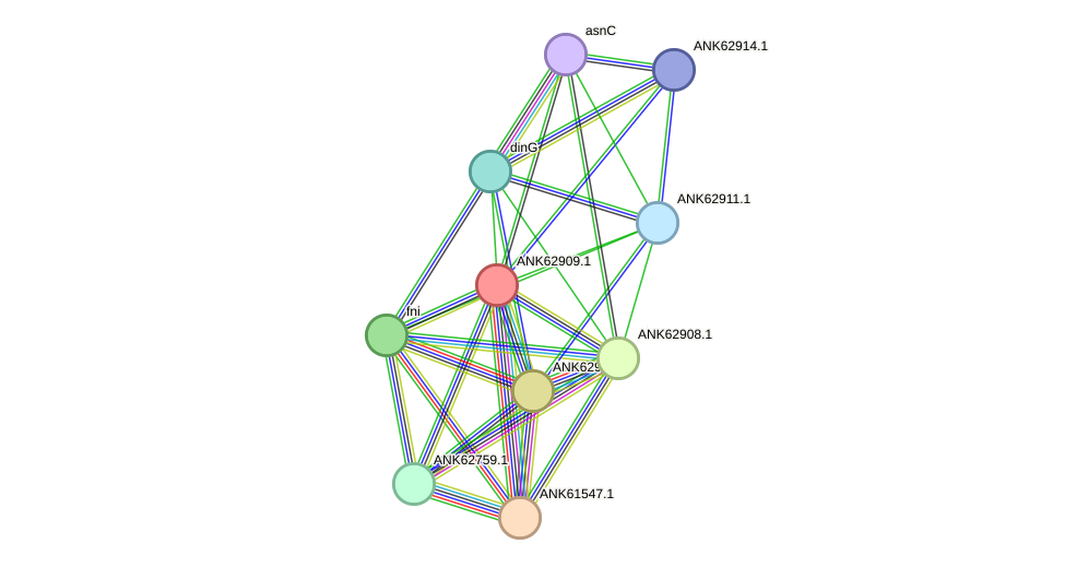 STRING protein interaction network