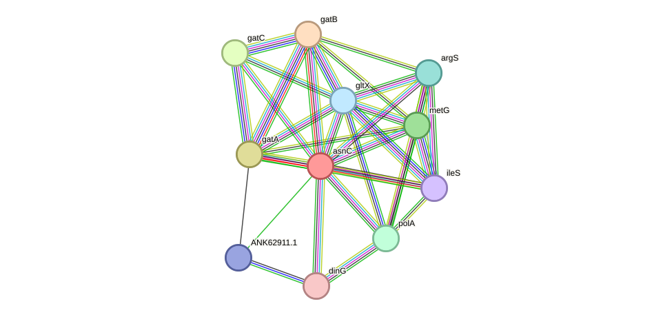 STRING protein interaction network