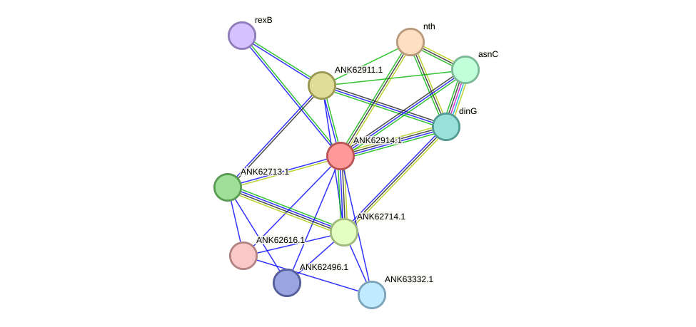 STRING protein interaction network