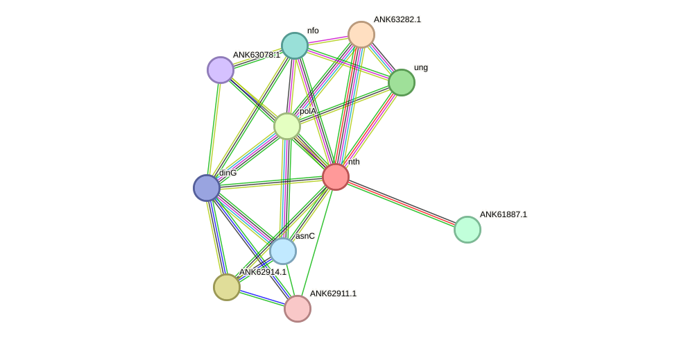 STRING protein interaction network