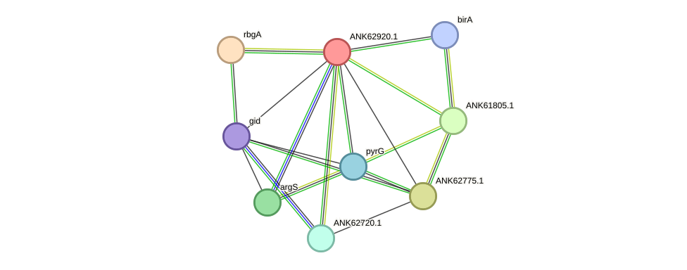 STRING protein interaction network