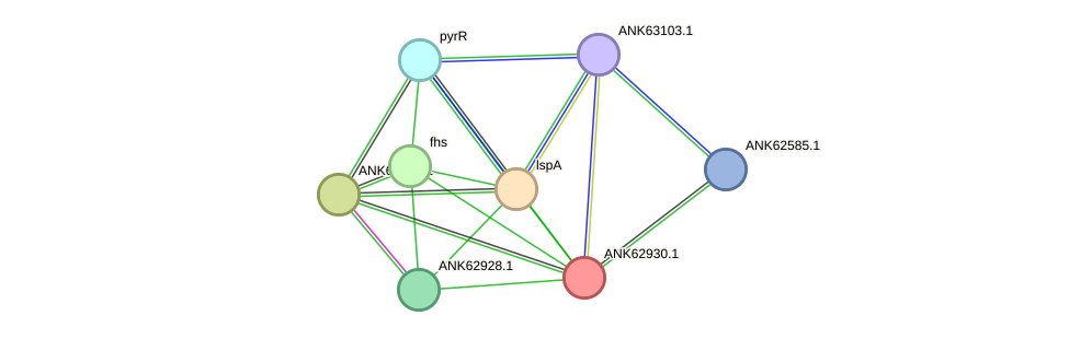 STRING protein interaction network
