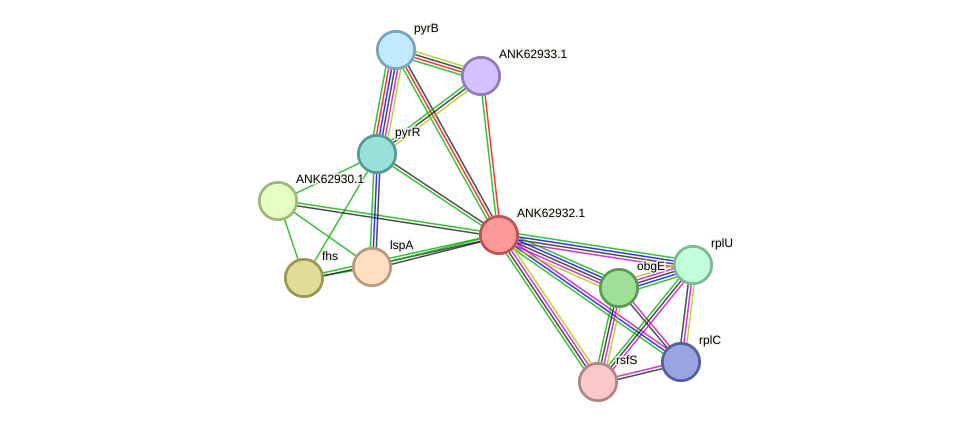 STRING protein interaction network