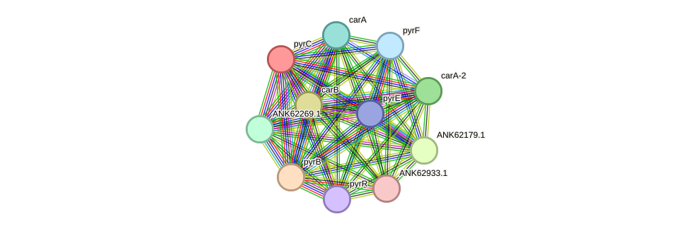 STRING protein interaction network