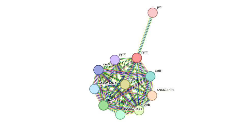 STRING protein interaction network