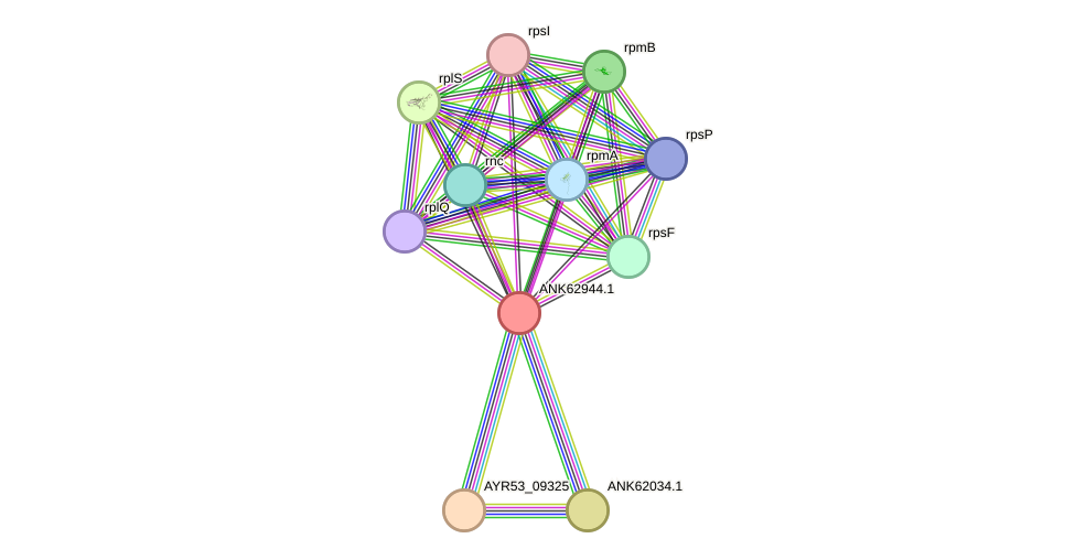 STRING protein interaction network