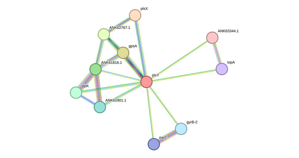 STRING protein interaction network