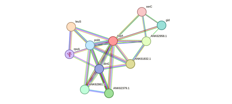 STRING protein interaction network