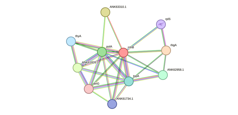 STRING protein interaction network