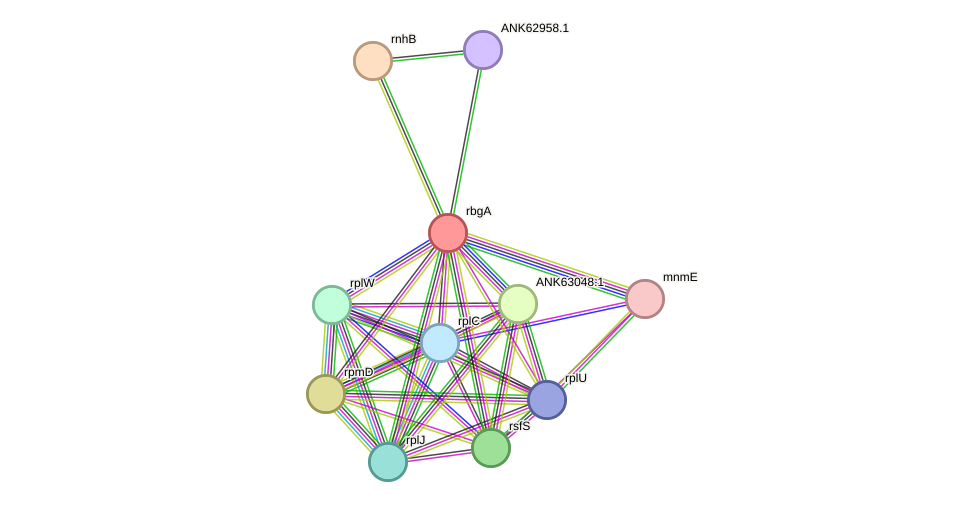 STRING protein interaction network